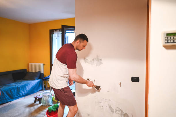Best Affordable Mold Removal  in Hale Center, TX